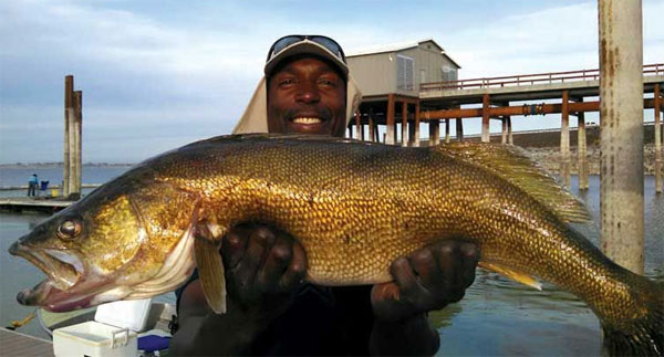 Fresh news: Near-record bluegill caught at Potholes