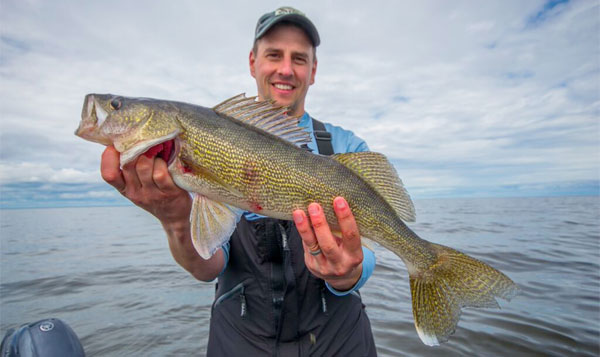 Vertical Jigging Lake of the Woods Walleye 