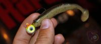 Joel Nelson: Catching clear-water walleyes shallow