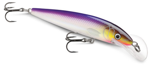 rapala scatter rap walleye