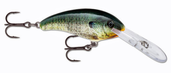 The Custom Color Craze: Walleyes, Wonderbread and Beyond - In