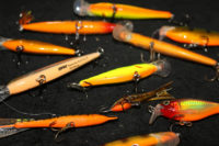 Rusty crayfish make orange a must-have color