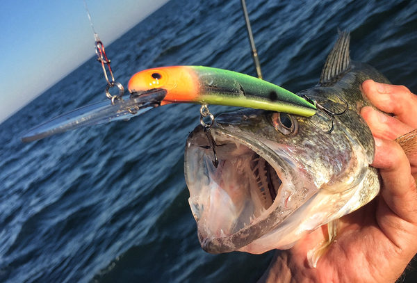 Jay Epping: Pinpointing giant Lake Erie walleyes – Target Walleye