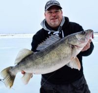 Greedy pike gets iced, Panfish baits for walleyes, Calling all walleyes tip