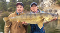 Walleye stereotypes, 15-lber caught, Spring power fishing tip