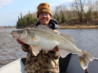 Throw stickbaits this spring, Chameleon sauger caught, Fish of the week