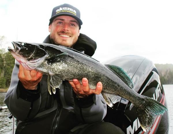 Walleyes Love Plastics in Spring - MidWest Outdoors