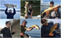 22 unique ways to hold a walleye