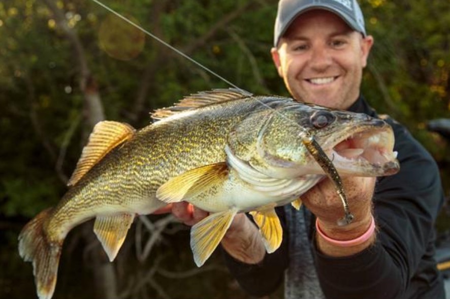 How To Use Planer Boards For Walleye at William Hoskins blog