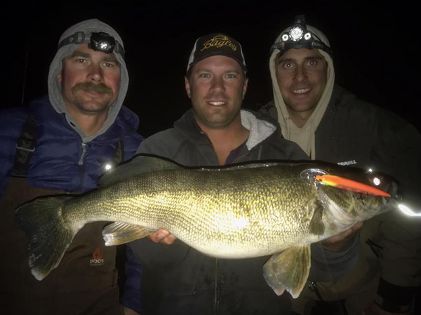 bagley – Target Walleye