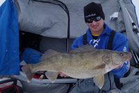 Winnipeg rumors, Roach ice trolls, Pro’s fav panfish baits