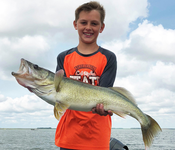 Cabela's® Soft Plastic Walleye Assortment