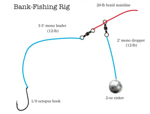 Best Surf Fishing Rigs - The Complete Guide 