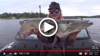 Fidget spinner muskie, Blade baits overlooked, Fall walleyes indecisive