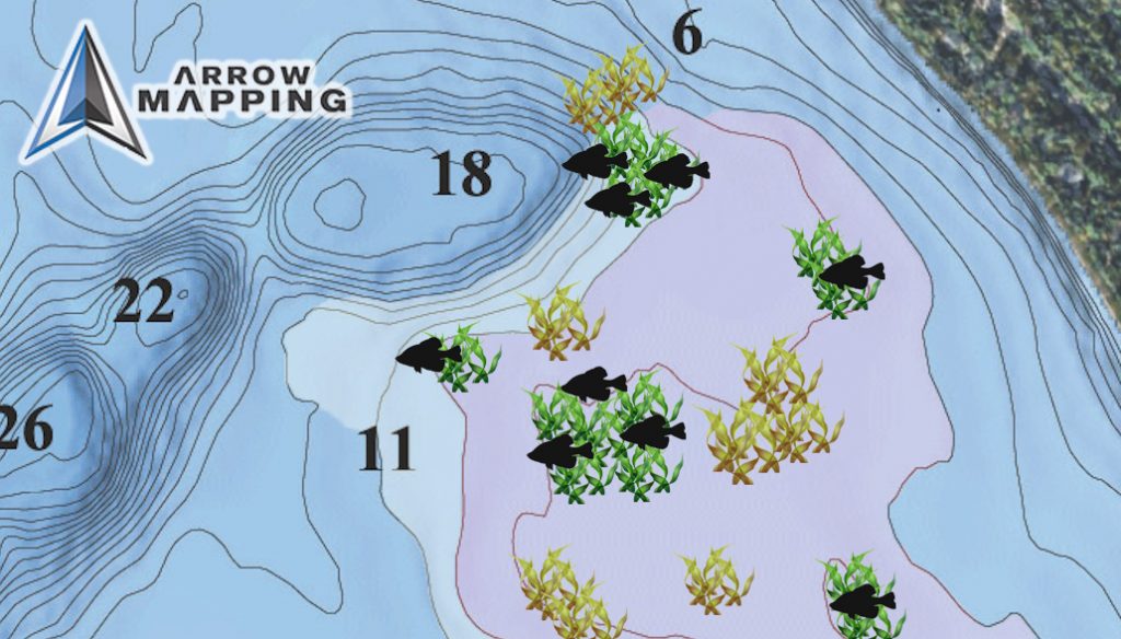 Crappie Fishing Weeds During Mid-Summer