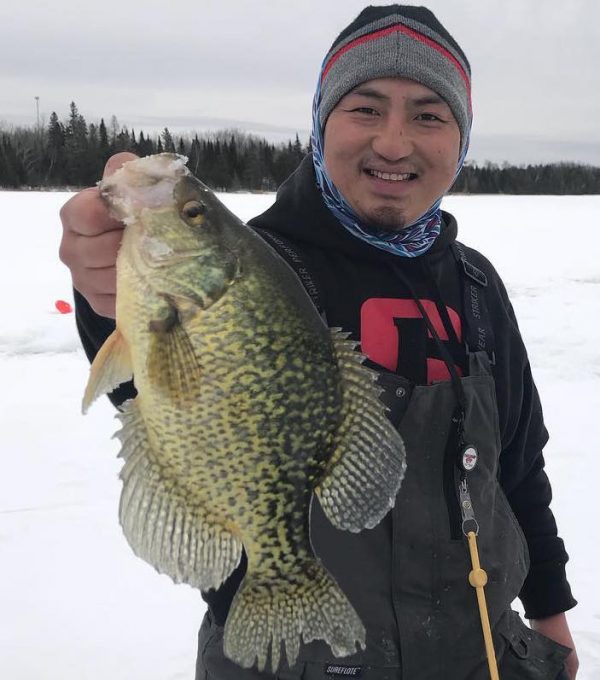 Early Ice Panfish Junkie