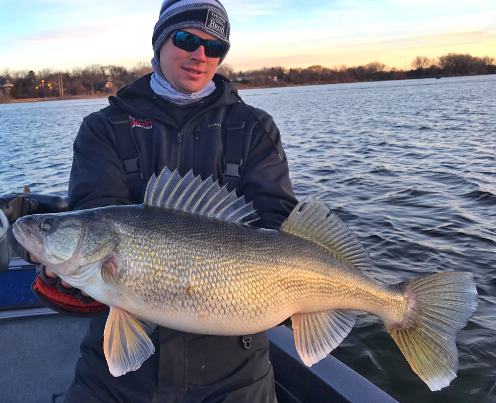 Crushing River Walleyes on Double Plastics Rig