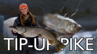How to catch GIANT Lake of the Woods pike on tip-ups