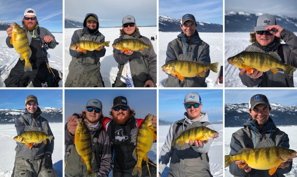 Trout, perch are biting at Lake Cascade