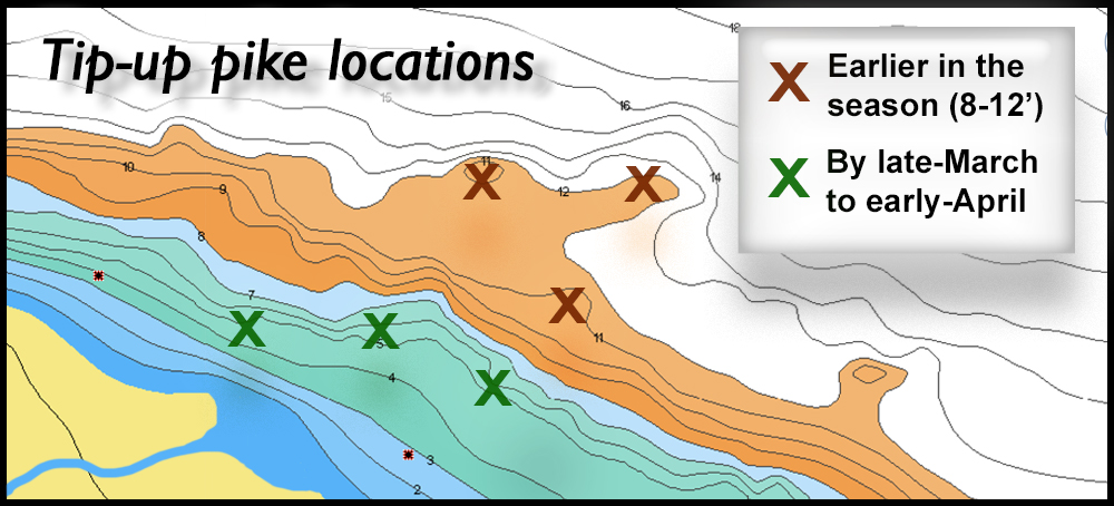 tip up pike locations lake of the woods