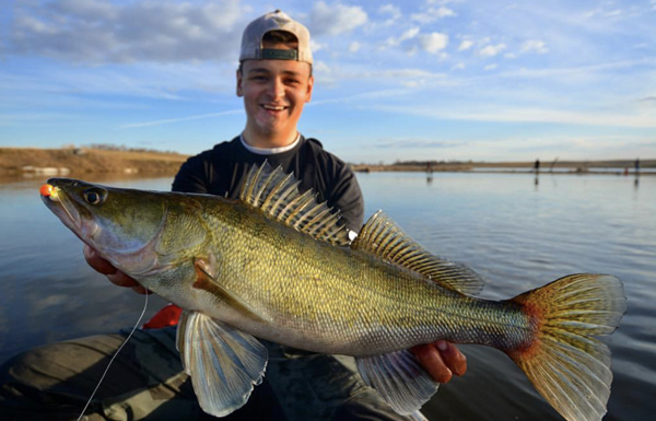 Best spring baits, Follow the shiner spawn, Don't be a bucket