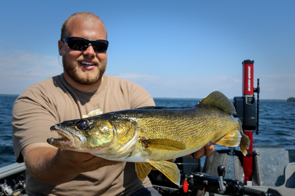 Ned Rig: The best WALLEYE bait no one's throwing – Target Walleye