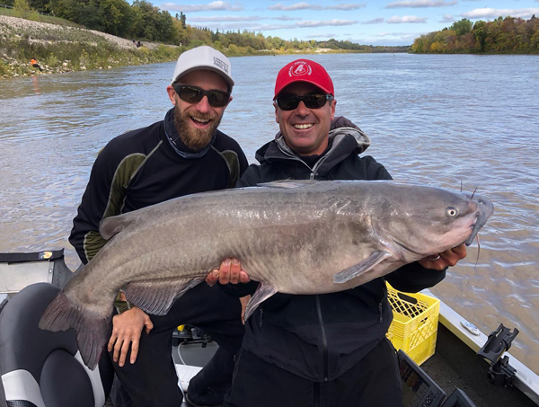 Walleye Gold tames HUGE catfish!! – Elk River Custom Rods
