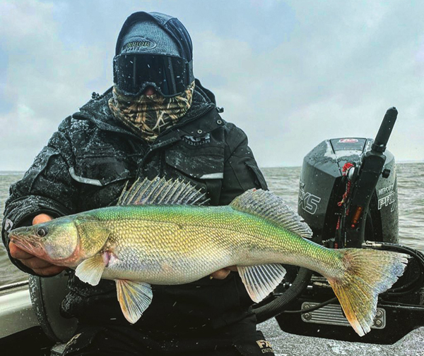 How to catch walleye with jigging spoons  We're out here fishing with Gino  jigging for walleye in the Upper Niagara River in the late fall. I'm  running the 3/4oz gold Stingnose 
