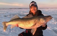 Silver bluegill caught, Tip-up panfish, Gourmet burbot on ice
