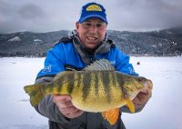 Night bite slabs, Complete burbot guide, Stretch out your mono