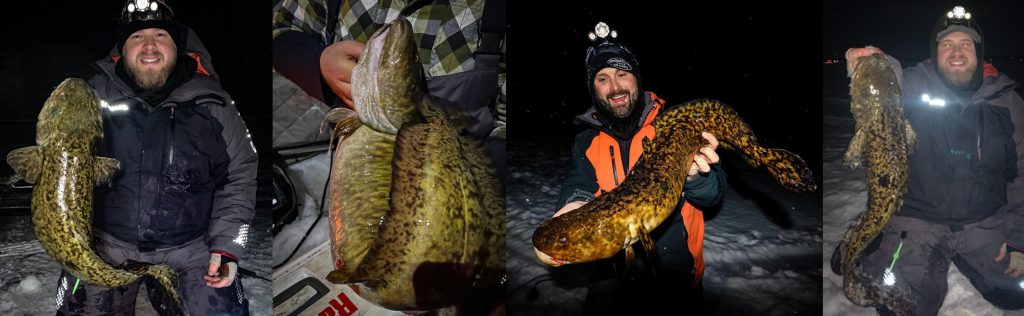 Ice fishing for BURBOT (best spots, gear, and techniques) – Target
