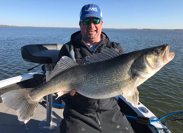 Possible ND state record, Bass fish for walleyes, Deformed walleye caught –  Target Walleye