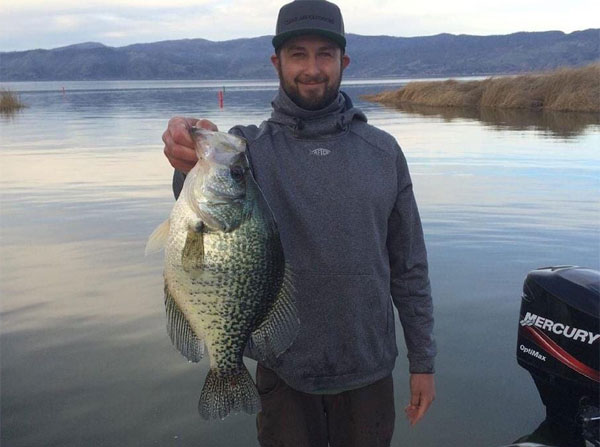 Record crappie LiveScope'd, Walleye spearfishing is a thing