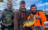 State record perch iced, Daytime burbot right now, Flag freshwater gators