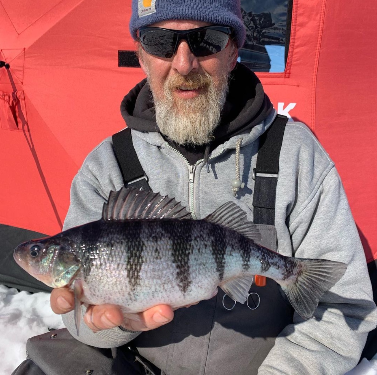 Blue perch caught, Al Lindner goes for carp, Early river walleye