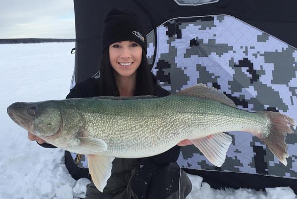 Fox River Ice Fishing Rods Catching Tons of Panfish! (Humminbird