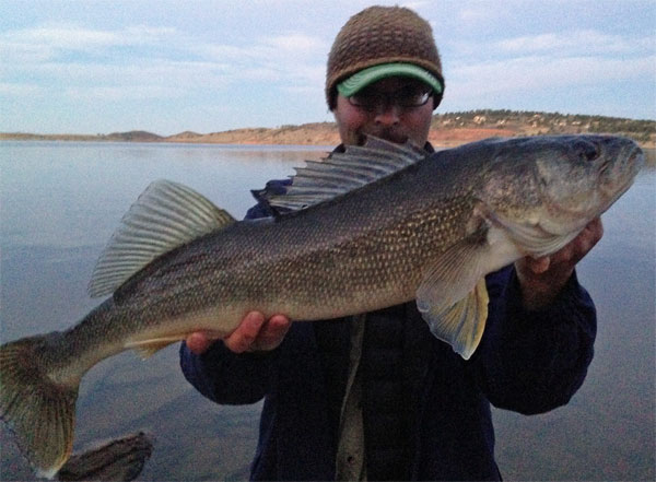 Huge CO walleye, Would you sucker brag?, Walleye run tips – Target Walleye