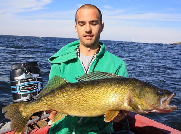 Walleyes after dark tip, Feeding a pet musky, Merp spotting