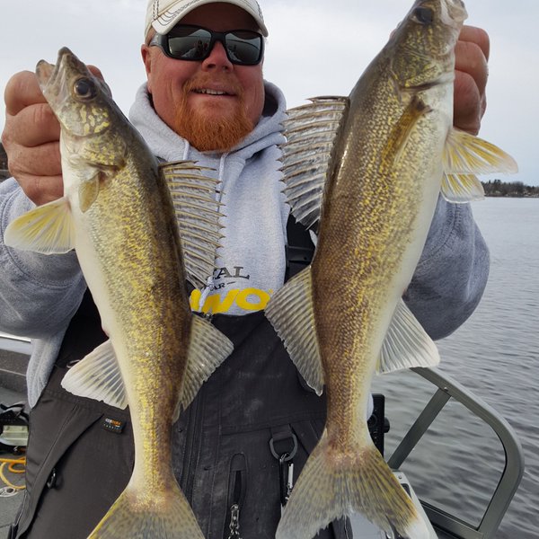 Where the pros go for walleye opener, Twin record perch, Hand