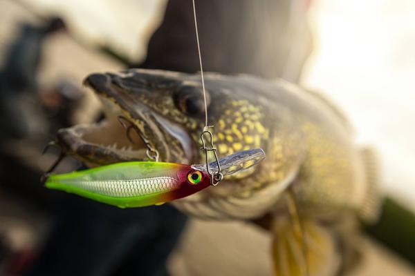  Northland Tackle Eye Candy Jig Crawler Floating 3.5