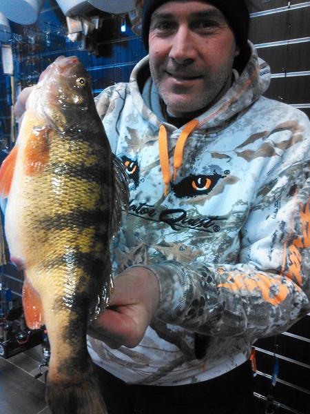 Monster 2.26 lb perch, Plankton key to ice crappie, Blue walleye