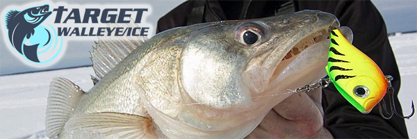 Spring bobber tips for ice fishing 