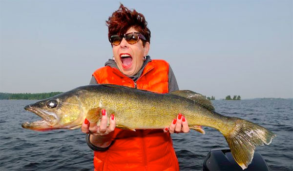 Best technique no one using, 30-inchers, Why use leeches now – Target  Walleye