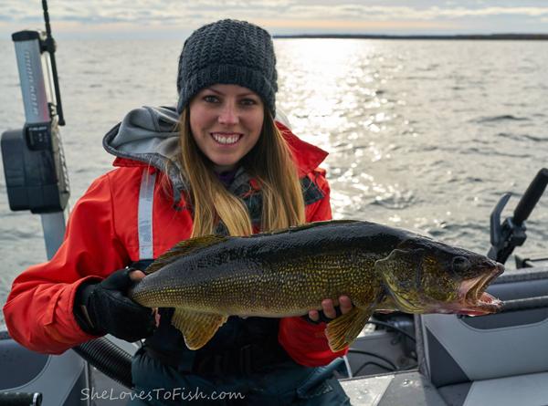 Hard Balling Walleyes: Tips Ontario Walleye Fishing