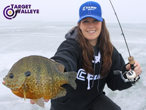 Monster ice bluegill, Fishermen more attractive, Hot dog trophy pike –  Target Walleye