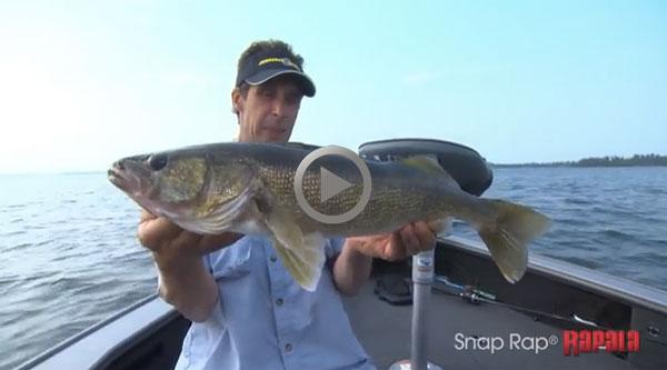 Al Lindner is ticked, Giants of the week, Outrageous goldfish catch –  Target Walleye