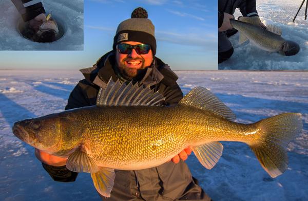 16 lb walleye, Biggest ice saugeye ever, Great spoon hack – Target Walleye