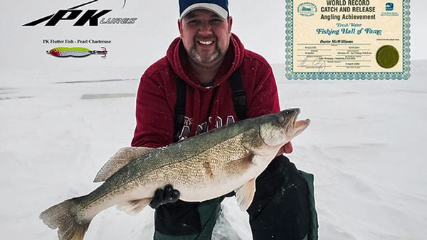 Bass Pro Shops XPS Mean Eye Walleye Series Deep-Running Minnow