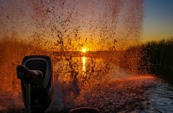 Plumpest eye ever, Which line is best, Walleye hunting opener