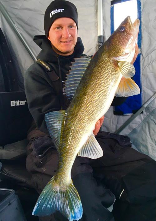 Record burbot video, Lose less fish tip, Giants of the week – Target Walleye